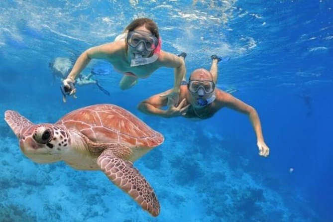 Empire Scope Semi Submarine Tours Now in Hurghada