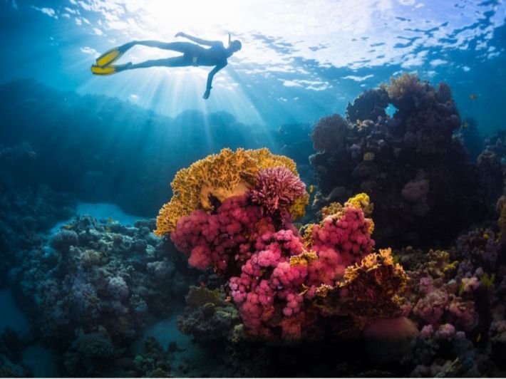 Empire Scope Semi Submarine Tours Now in Hurghada