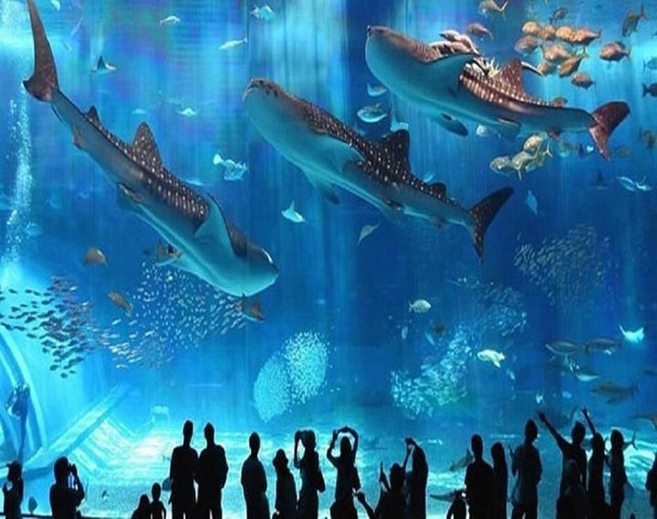 Grand Aquarium
