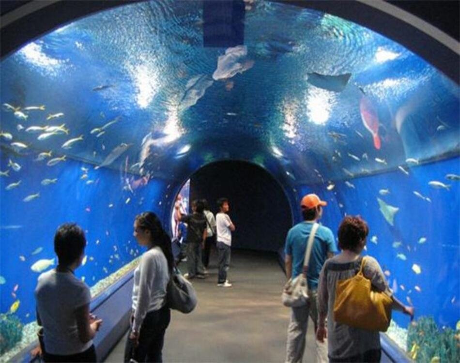 Grand Aquarium