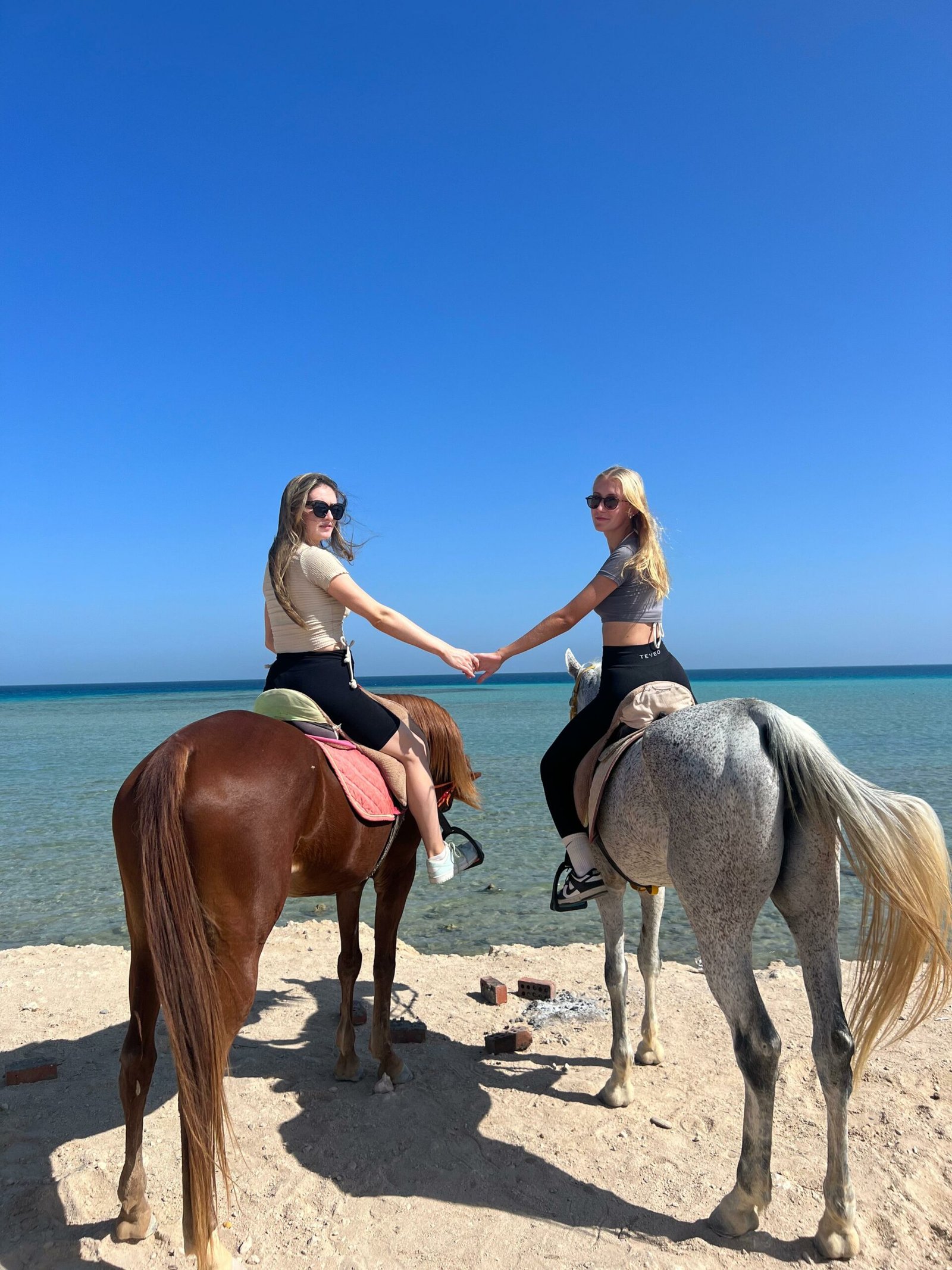 Book Horse Riding Trips in Hurghada Now