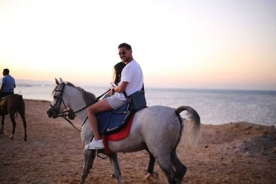 Book Horse Riding Trips in Hurghada Now