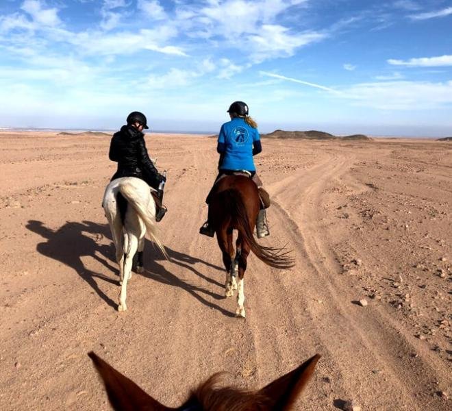 Book Horse Riding Trips in Hurghada Now