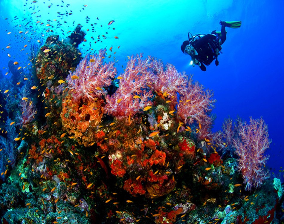 Beginner Intro Diving in Hurghada: A Simple Guide
