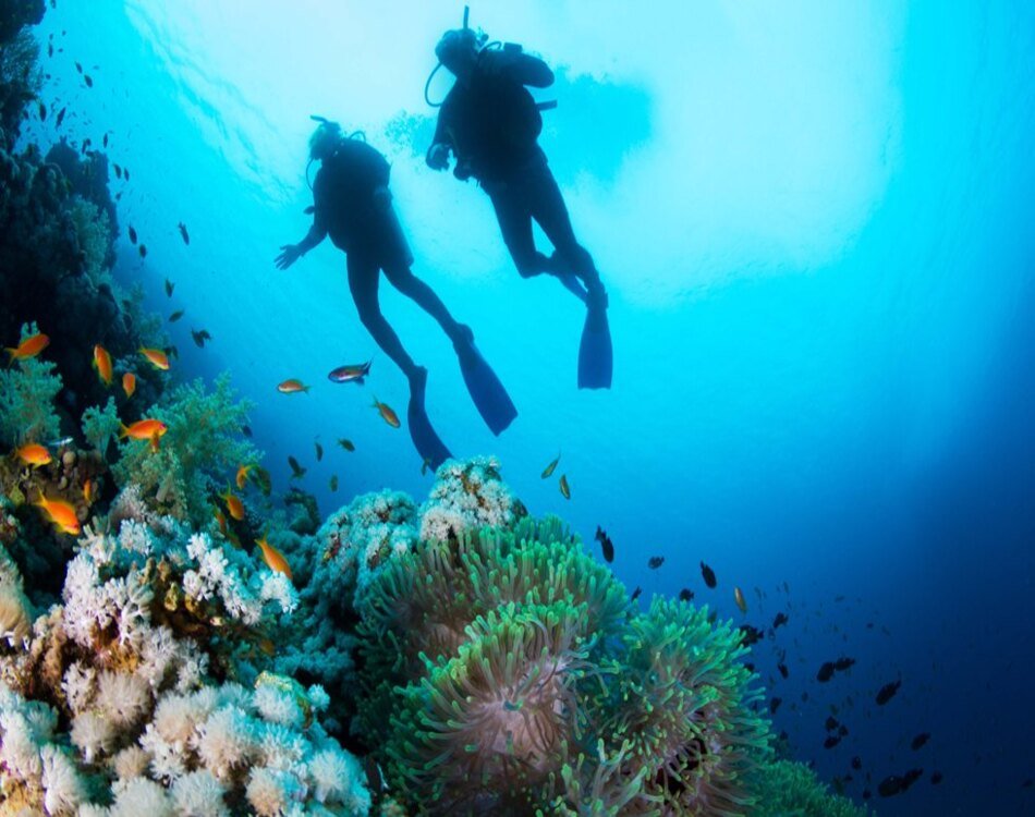 Beginner Intro Diving in Hurghada: A Simple Guide