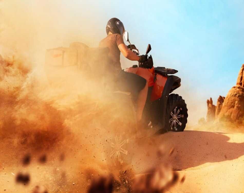 Join a 3-hour safari with dinner and exciting entertainment