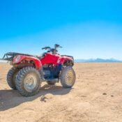Join a 3-hour safari with dinner and exciting entertainment