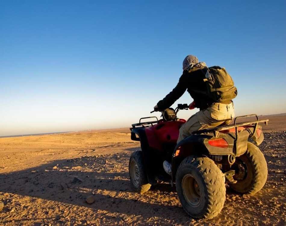 Join a 3-Hour Safari for an Up-Close Nature Look