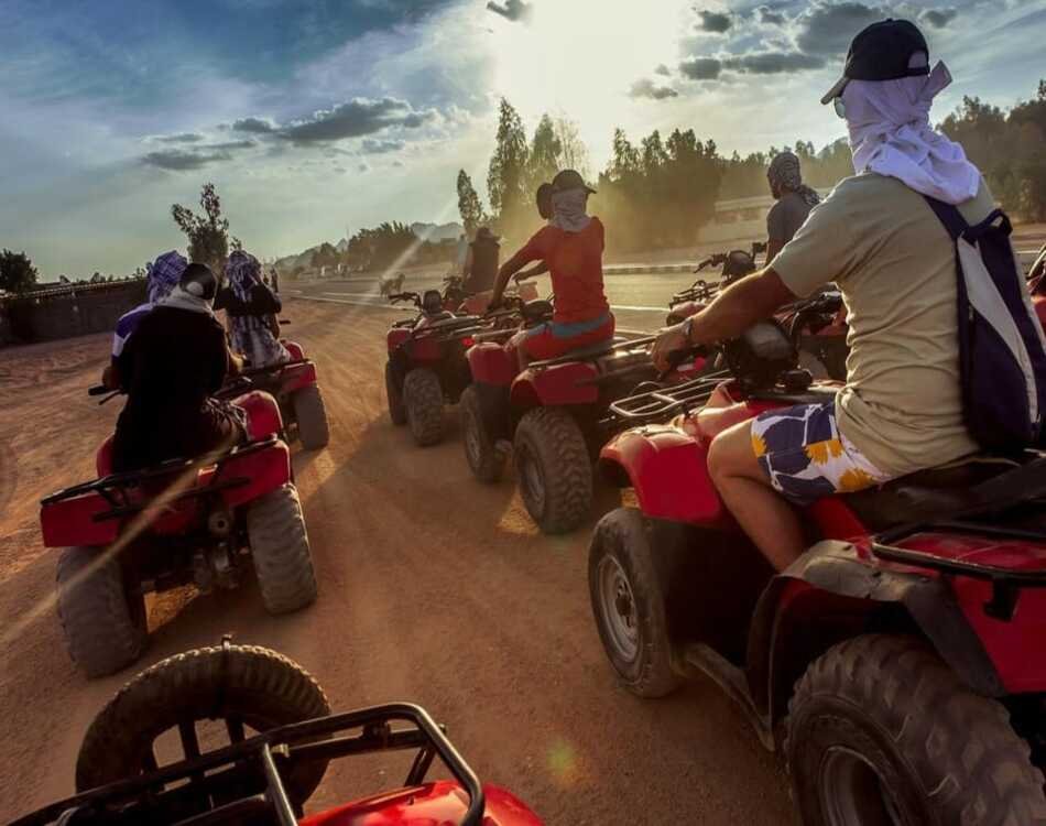 A Short, Exciting 5-hour Safari Trip For Families